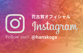 The role of your bouquette in wedding compositions